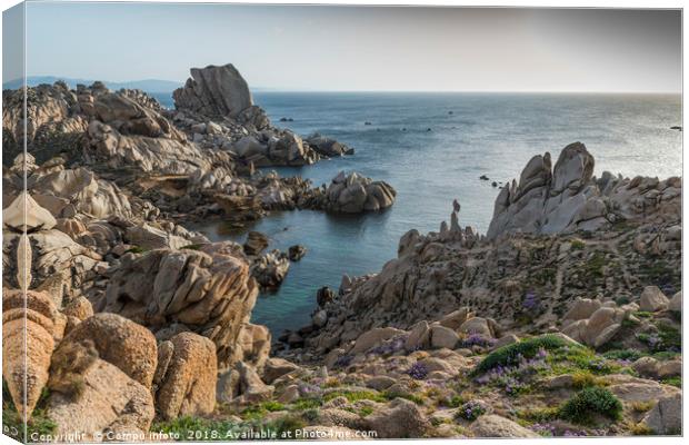 capo testa teresa di gallura , with rocks and blue Canvas Print by Chris Willemsen