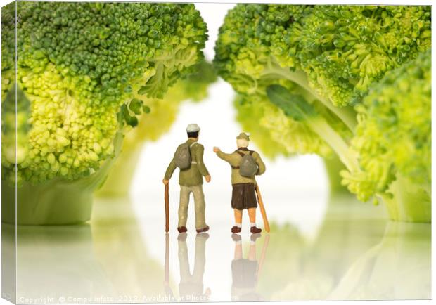 miniature figures walking on broccoli trees  Canvas Print by Chris Willemsen