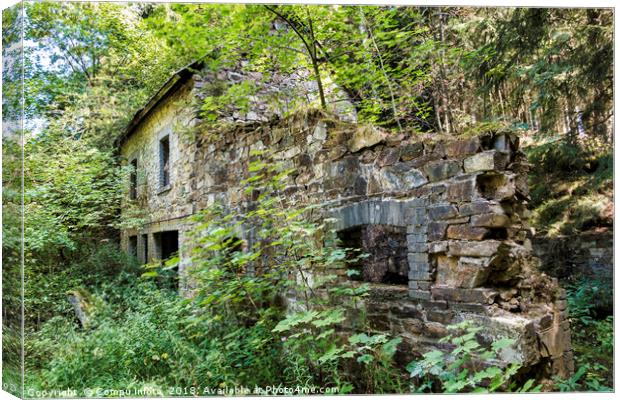 old abandoned building in green forest Canvas Print by Chris Willemsen
