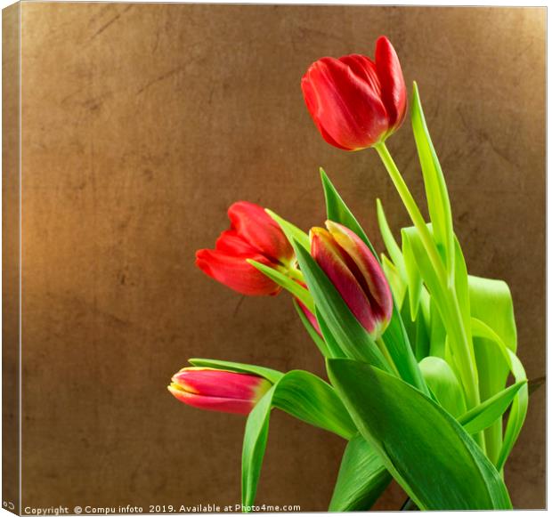 red tulips Canvas Print by Chris Willemsen