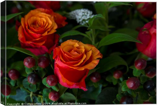 red roses Canvas Print by Chris Willemsen