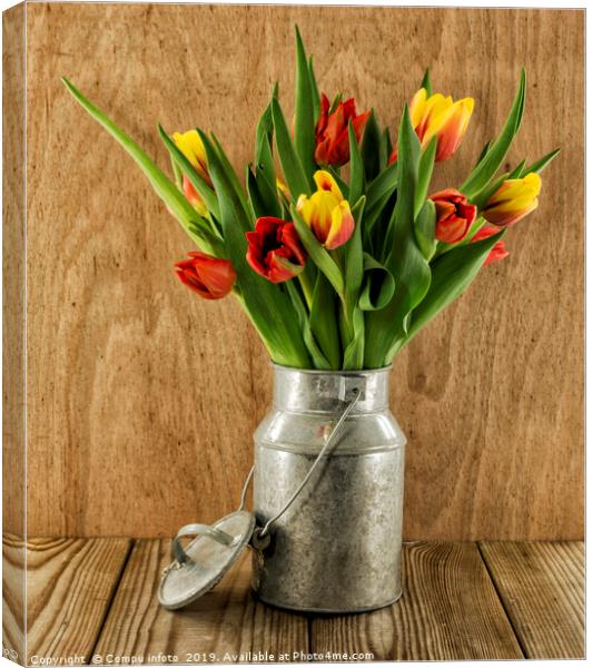 red and yellow tulips on wood Canvas Print by Chris Willemsen