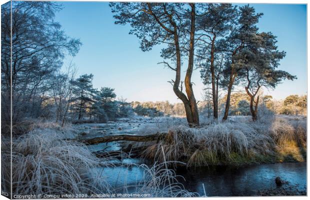 winter landscape with trees and water Canvas Print by Chris Willemsen