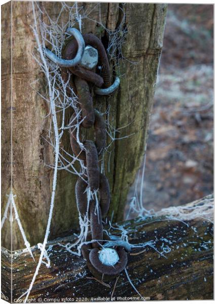 chain in the forest Canvas Print by Chris Willemsen
