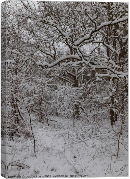snow in winter in the forest in holland Canvas Print by Chris Willemsen