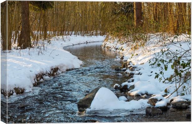 a river with  snow during a cold period in the nature area het waterloopbos in Holland Canvas Print by Chris Willemsen