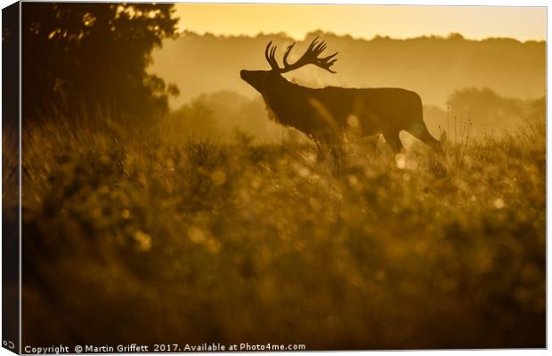 Sunrise Stag Silhouette Canvas Print by Martin Griffett