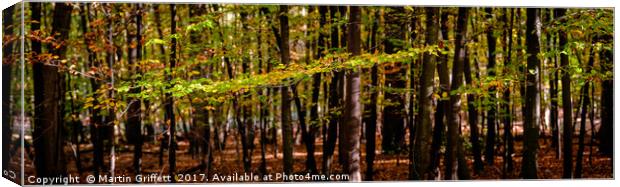 Autumn Leaves Panorama Canvas Print by Martin Griffett