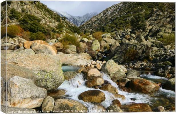 Spring water Canvas Print by Estefanía Rivas Salvador