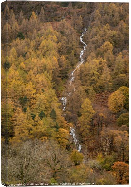 Stunning vibrant golden Autumn Fall landscape of larch tree forest with river and waterfall flowing through from top to bottom of image Canvas Print by Matthew Gibson