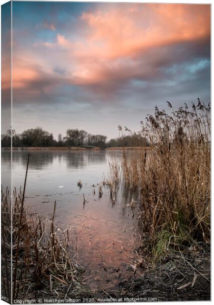 Stunning colorful Winter sunrise over reeds on lake in Cotswolds in England Canvas Print by Matthew Gibson