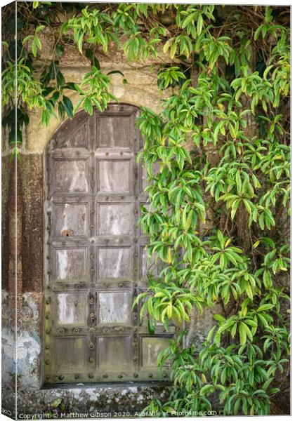 Beautiful vintage Victorian mansion entrance door surrounded by plants and tree Canvas Print by Matthew Gibson