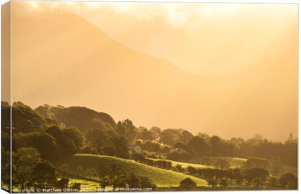 Epic golden light of sunrise on side of Low Fell in the English Lake District countryside during late Summer Canvas Print by Matthew Gibson