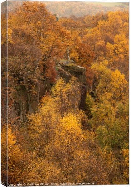 Beautiful colorful vibrant forest woodland Autumn Fall landscape in Peak District in England Canvas Print by Matthew Gibson