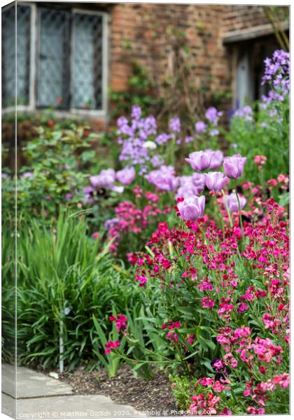 Stunning shallow depth of field landscape image of English country garden borders with vibrant tulips and Spring flowers Canvas Print by Matthew Gibson