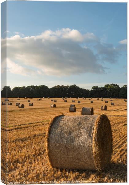 Beautiful countryside landscape image of hay bales in Summer field during colorful sunset Canvas Print by Matthew Gibson