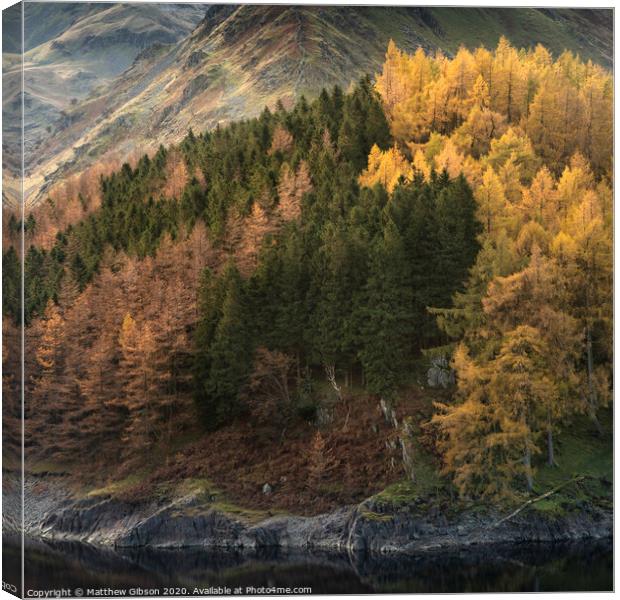 Beautiful landscape image of Autumn Fall with vibrant pine and larch trees against majestic setting of Hawes Water and High Stile peak in Lake District Canvas Print by Matthew Gibson