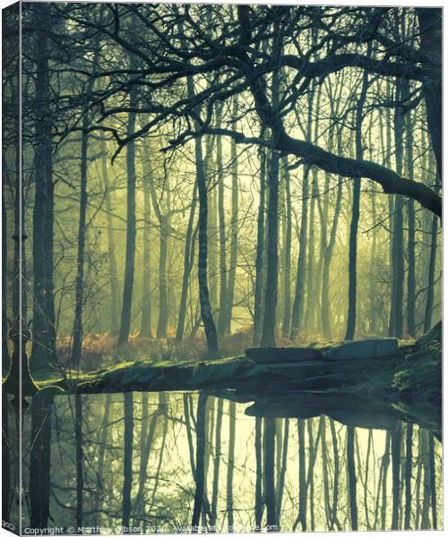 Beautiful landscape image of still stream in forest in the Lake District with hazy sun beams and glow behind the trees reflected in the still water Canvas Print by Matthew Gibson