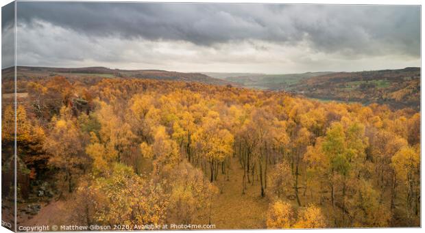 Amazing view over the top of Silver Birch forest with golden leaves in Autumn Fall landscape scene of Upper Padley gorge in Peak District in England Canvas Print by Matthew Gibson