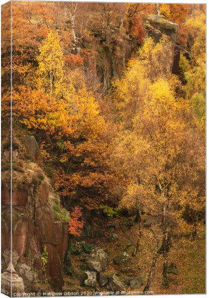 Beautiful colorful vibrant forest woodland Autumn Fall landscape in Peak District in England Canvas Print by Matthew Gibson