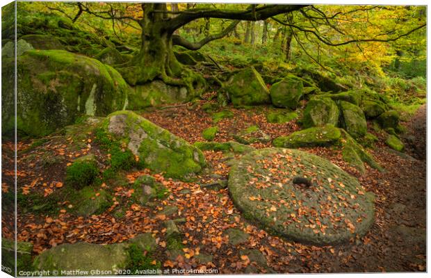 Beautiful vibrant Autumn Fall forest landscape image of millstone in woodland in Peak District Canvas Print by Matthew Gibson