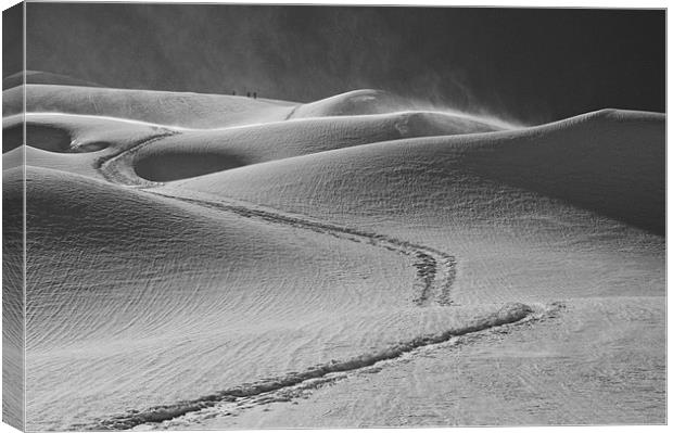 Snow Dunes Canvas Print by Neil Gavin