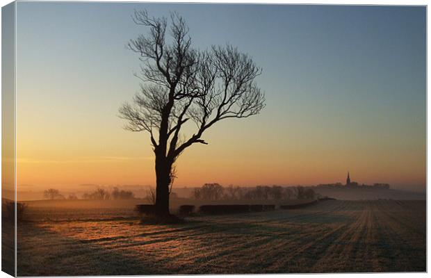Country Morning Canvas Print by Neil Gavin