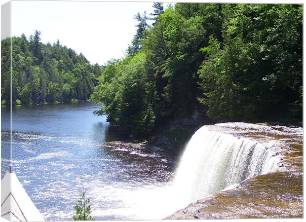 Tahquamenon Falls Canvas Print by Emma Crowter