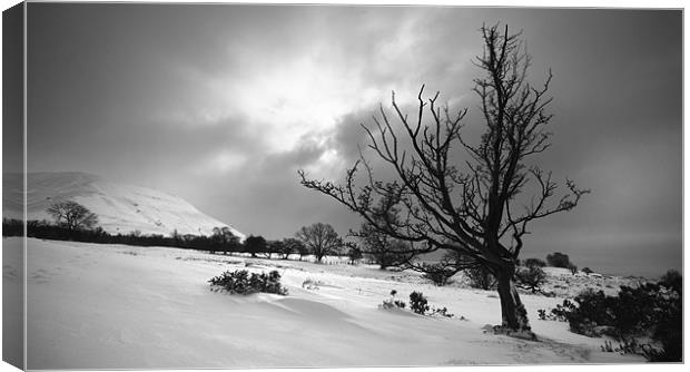 Winter in the Black Mountains Canvas Print by TIM HUGHES