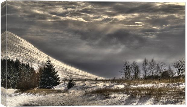 Winter on the beacons Canvas Print by TIM HUGHES