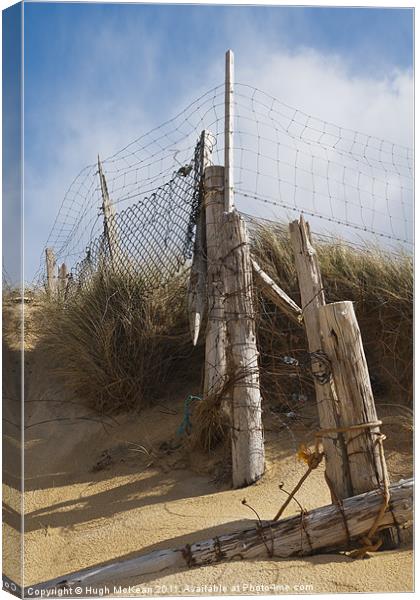 Landscape, Fence Posts, Desiccated, Sand dunes, Canvas Print by Hugh McKean
