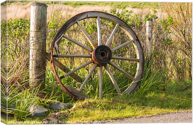 Agriculture, Cart wheel, abandoned Canvas Print by Hugh McKean