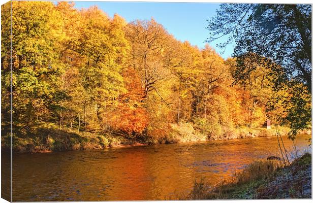 Autumn colours, riverside walk, November 2013 Canvas Print by Hugh McKean