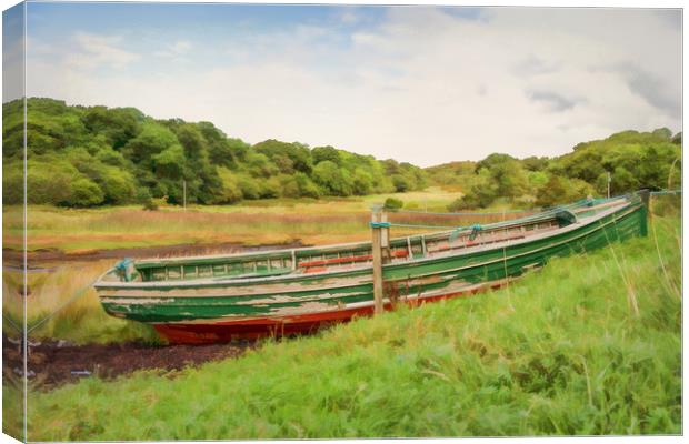 Moored red & green wooden rowing boat  Canvas Print by Hugh McKean