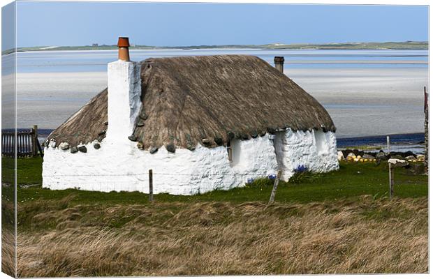 Thatched cottage Canvas Print by Hugh McKean