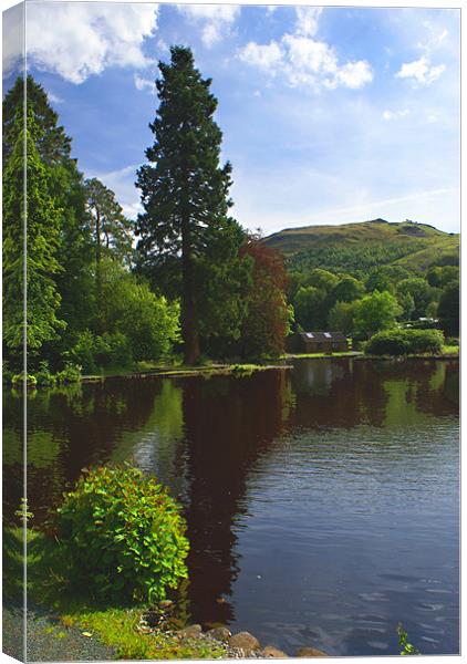 Craig-y-Nos Country Park Canvas Print by David (Dai) Meacham