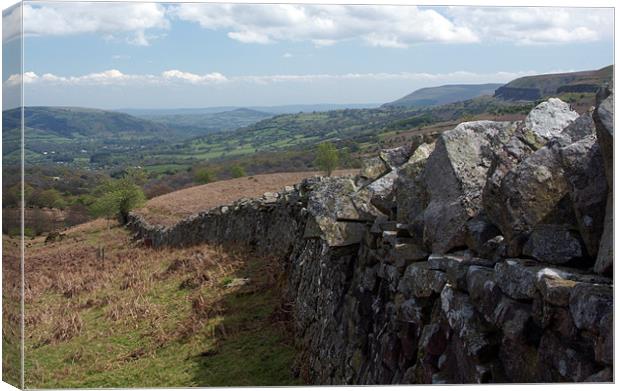 Dry stone wall on the moors Canvas Print by David (Dai) Meacham