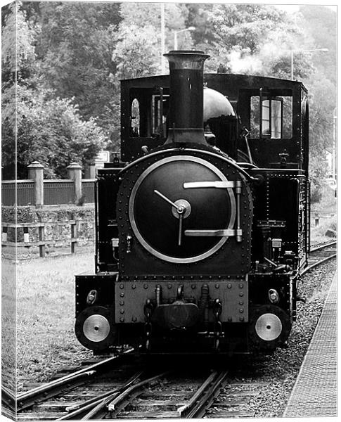 Welshpool Light Railway Canvas Print by David (Dai) Meacham