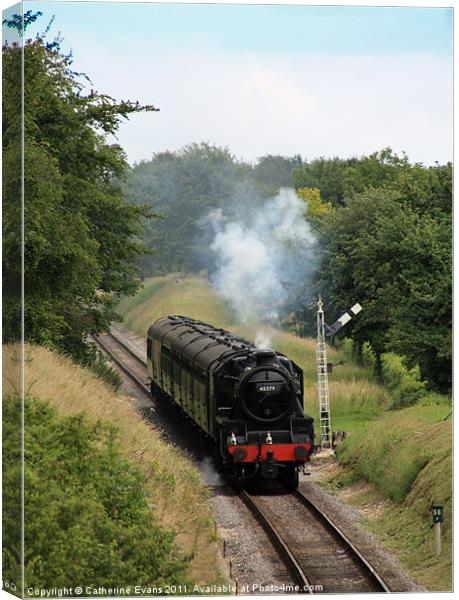 The Watercress Line Canvas Print by Catherine Fowler