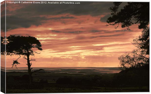 Sunset across Morecambe Bay Canvas Print by Catherine Fowler
