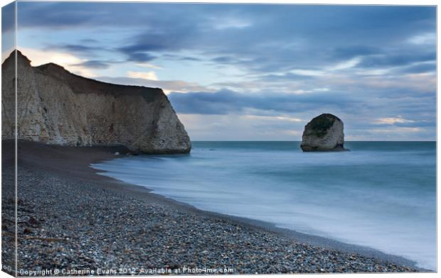 Last light across Freshwater Bay Canvas Print by Catherine Fowler