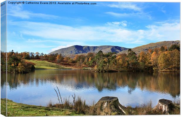 Tarn Hows Canvas Print by Catherine Fowler