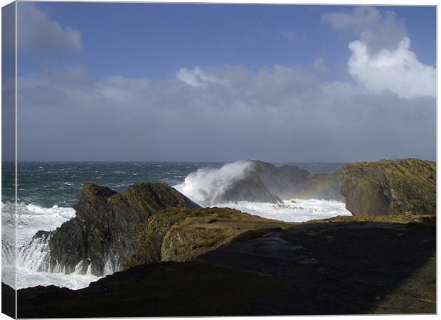 Stormy day on the Isle of Lewis Canvas Print by Catherine Fowler