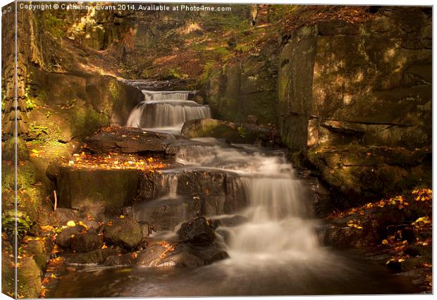  Lumsdale Valley Waterfall Canvas Print by Catherine Fowler