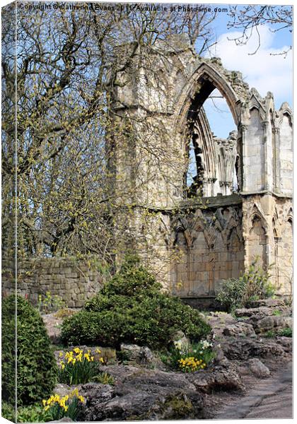 St Mary's Abbey Ruins York #2 Canvas Print by Catherine Fowler