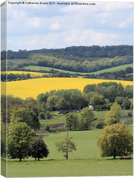 View across the Chilterns Canvas Print by Catherine Fowler