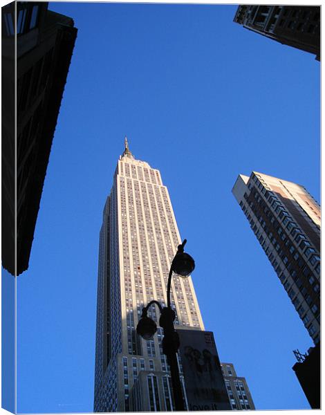Empire State Different View Canvas Print by Catherine Fowler