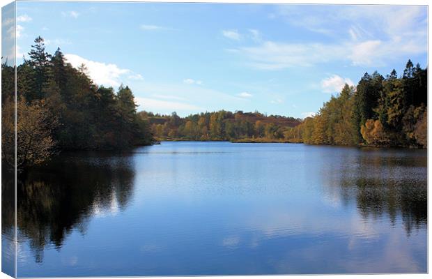 Autumn reflections on Tarn Hows Canvas Print by Catherine Fowler