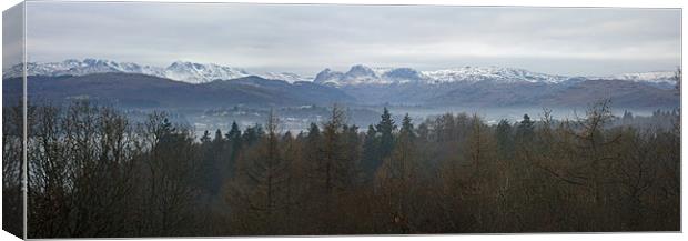 Snowy Langdales Panorama Canvas Print by Catherine Fowler