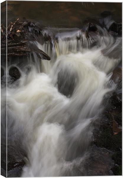 Bubbling burn Canvas Print by Catherine Fowler